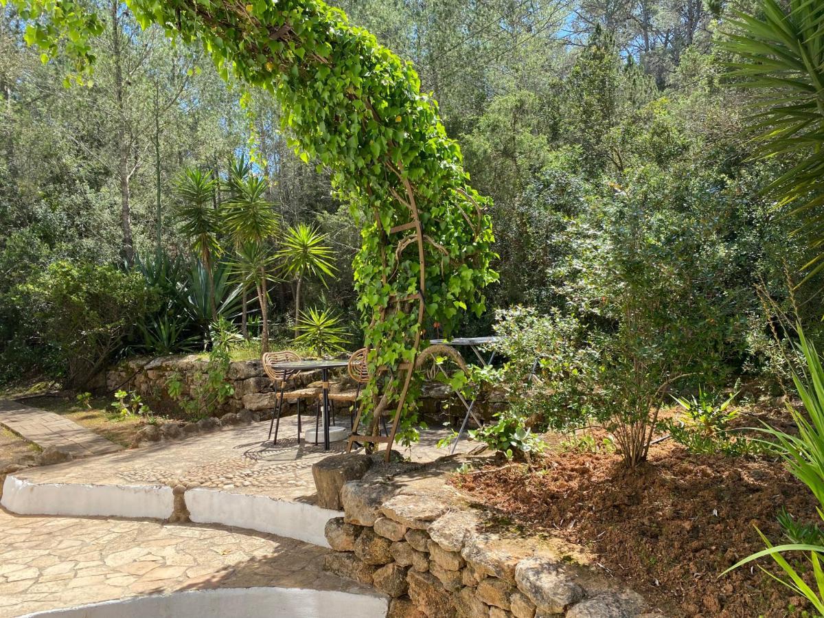 Can Iara Sant Miquel De Balansat Bagian luar foto