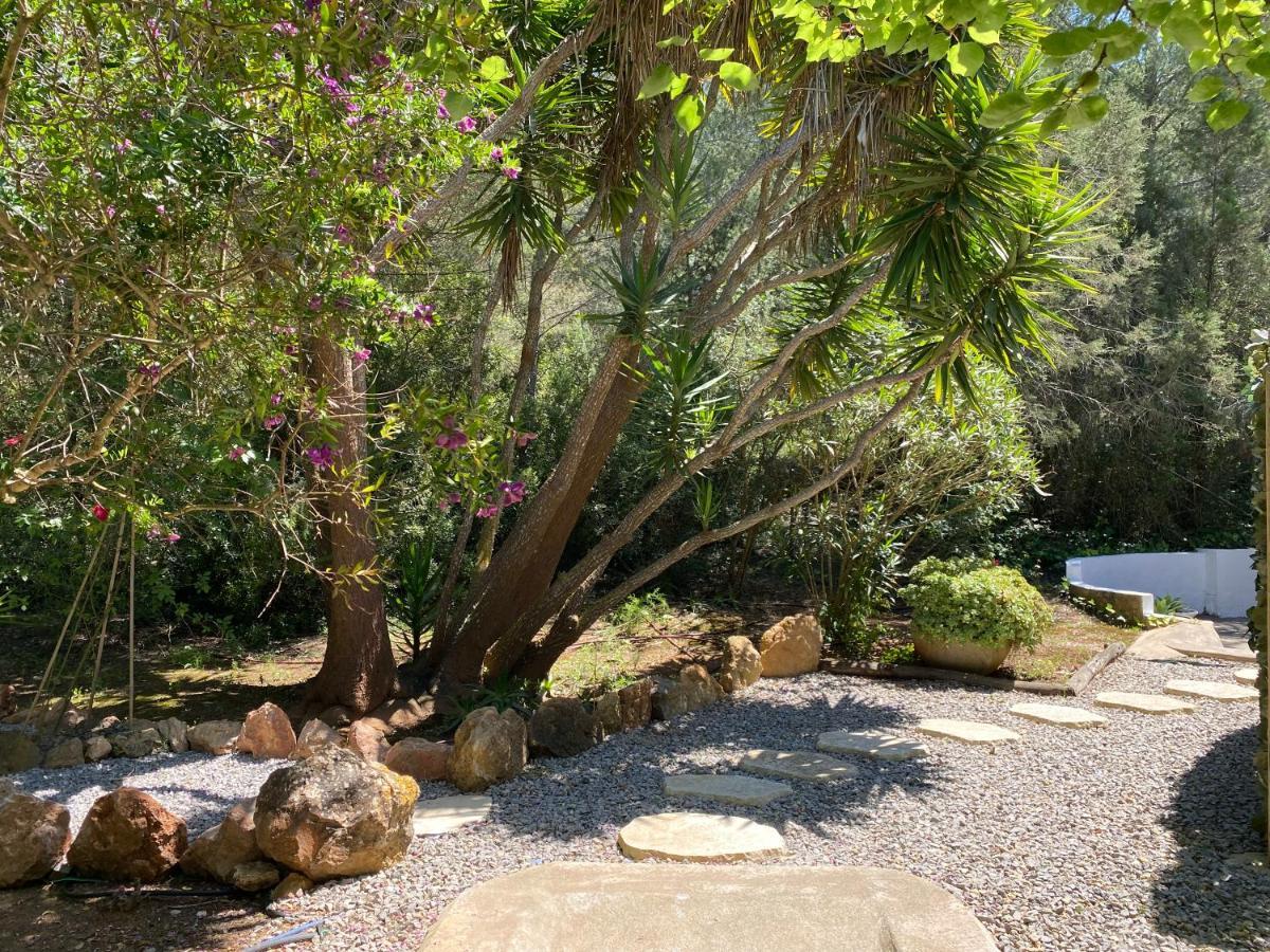 Can Iara Sant Miquel De Balansat Bagian luar foto