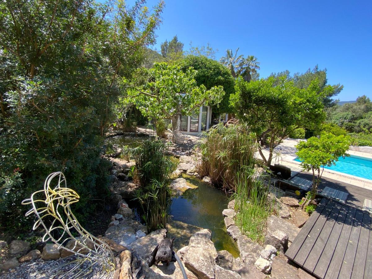 Can Iara Sant Miquel De Balansat Bagian luar foto