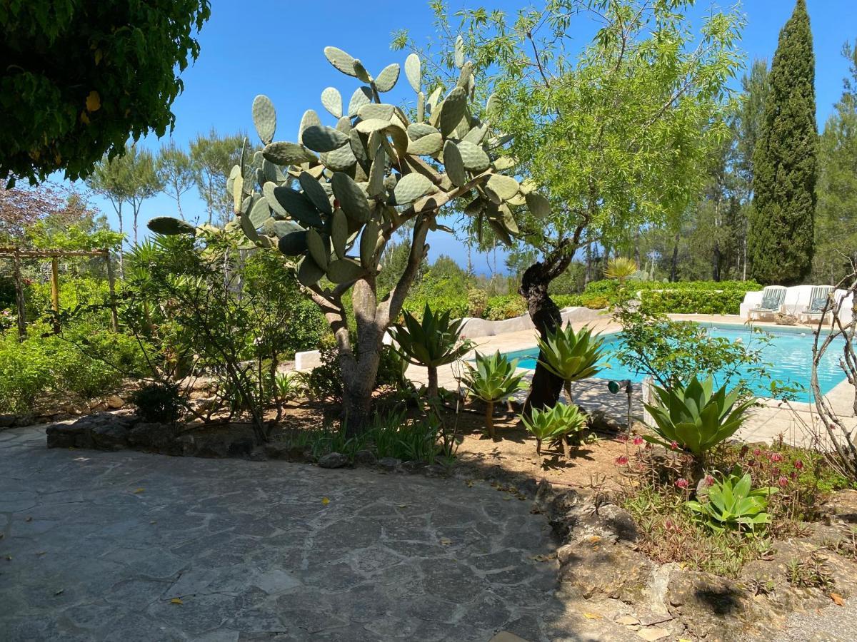 Can Iara Sant Miquel De Balansat Bagian luar foto