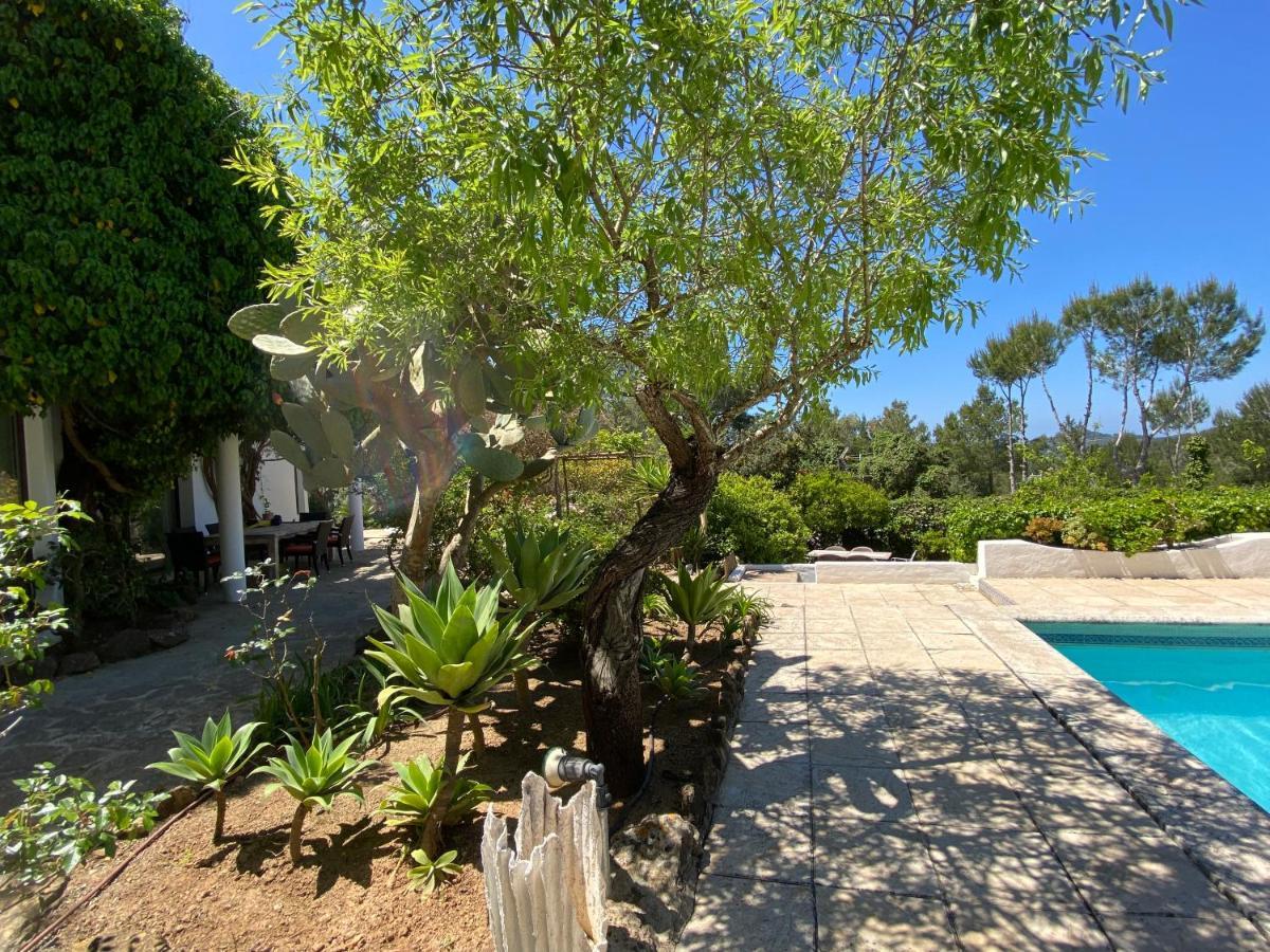 Can Iara Sant Miquel De Balansat Bagian luar foto