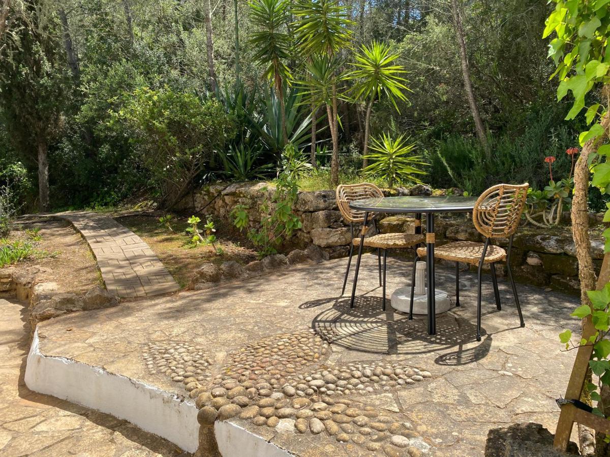 Can Iara Sant Miquel De Balansat Bagian luar foto