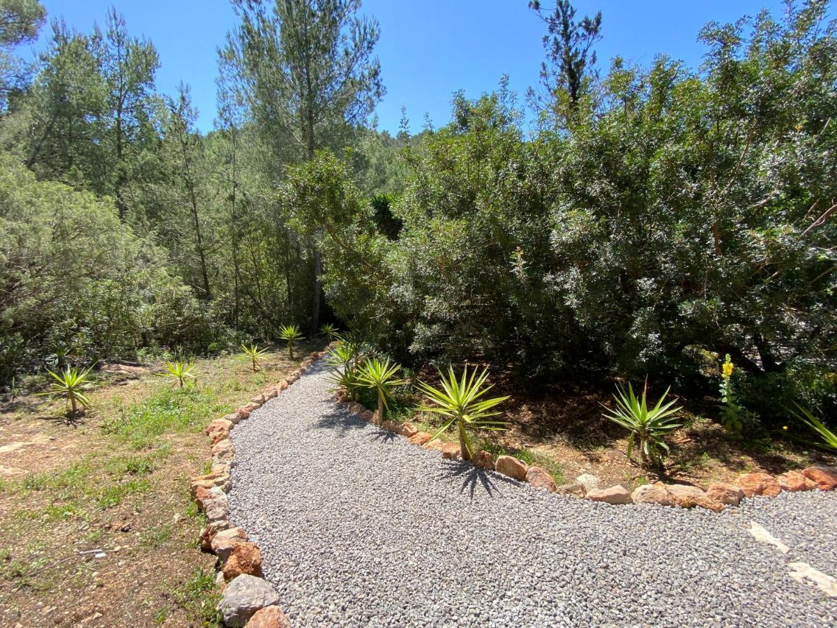 Can Iara Sant Miquel De Balansat Bagian luar foto