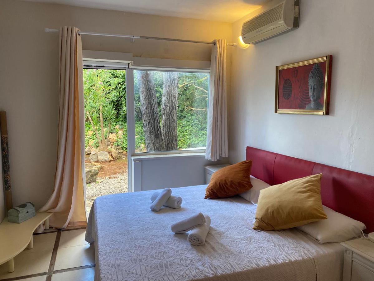 Can Iara Sant Miquel De Balansat Bagian luar foto