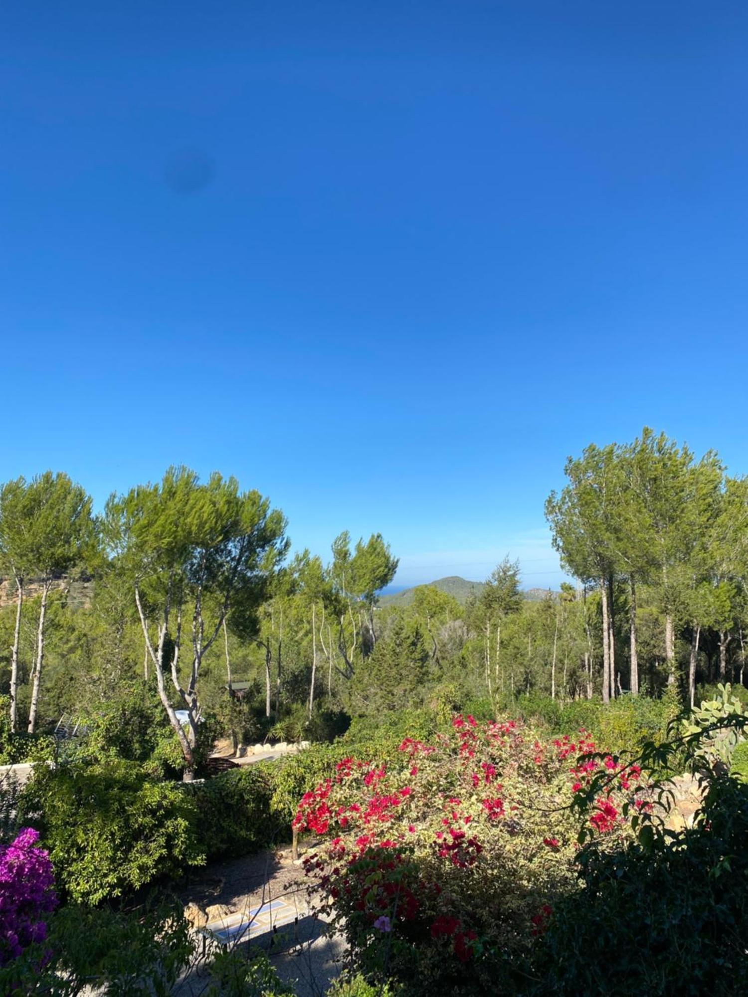 Can Iara Sant Miquel De Balansat Bagian luar foto