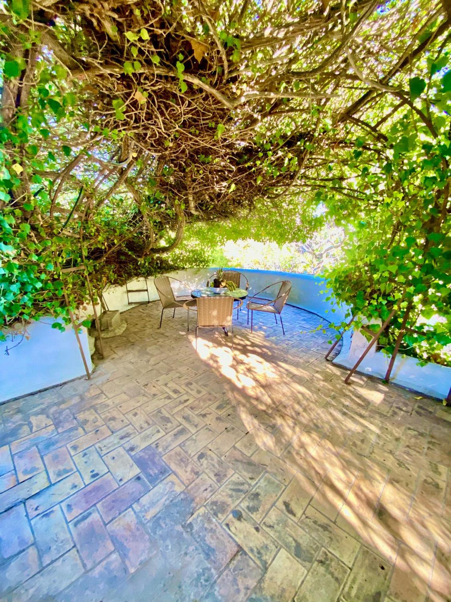 Can Iara Sant Miquel De Balansat Bagian luar foto